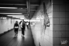 0541_NYC_2026-131026