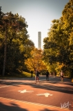 0546_NYC_2026-131026