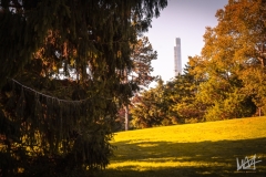 0549_NYC_2026-131026