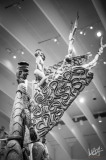 0575_NYC_2026-131026
