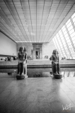 0584_NYC_2026-131026