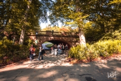 0599_NYC_2026-131026