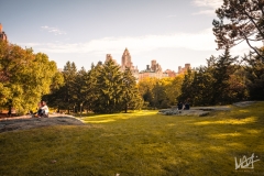 0600_NYC_2026-131026