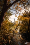 0613_NYC_2026-131026