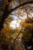 0614_NYC_2026-131026