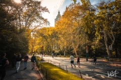 0615_NYC_2026-131026