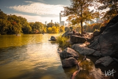 0617_NYC_2026-131026