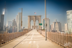 0762_NYC_2026-141026