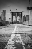 0764_NYC_2026-Modifica-141026