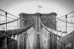 0771_NYC_2026-141026