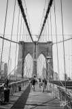 0788_NYC_2026-141026