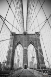 0798_NYC_2026-Modifica-141026
