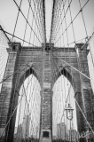 0800_NYC_2026-Modifica-141026