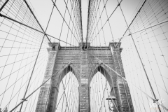 0801_NYC_2026-141026