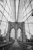 0812_NYC_2026-Modifica-141026