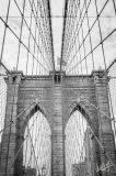 0815_NYC_2026-141026