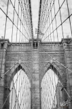 0816_NYC_2026-141026