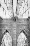 0817_NYC_2026-141026