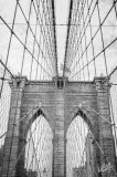 0819_NYC_2026-141026