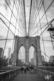 0828_NYC_2026-141026